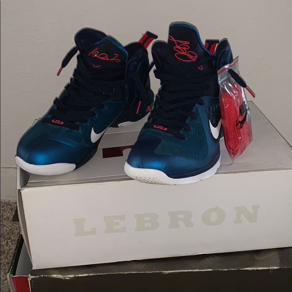 Nike Lebron 9 Swingman